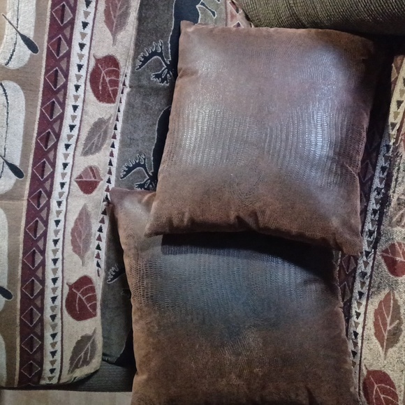 Set of 2 Handmade Western Pillows 🌵 - Picture 4 of 5